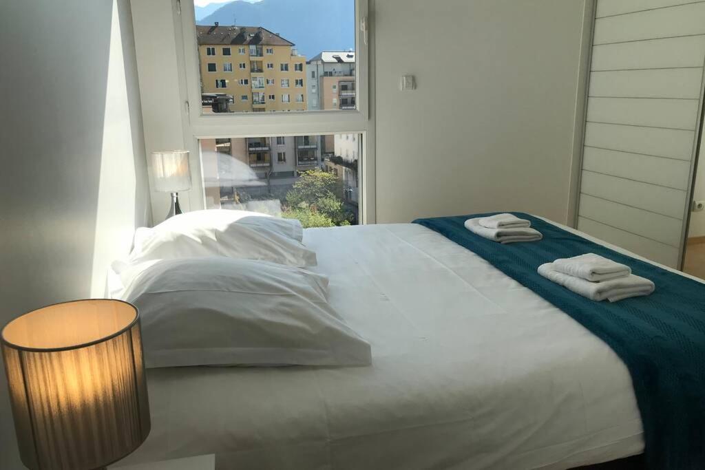 Le Cezanne - Centre Ville, Balcon, Garage Annecy Zewnętrze zdjęcie